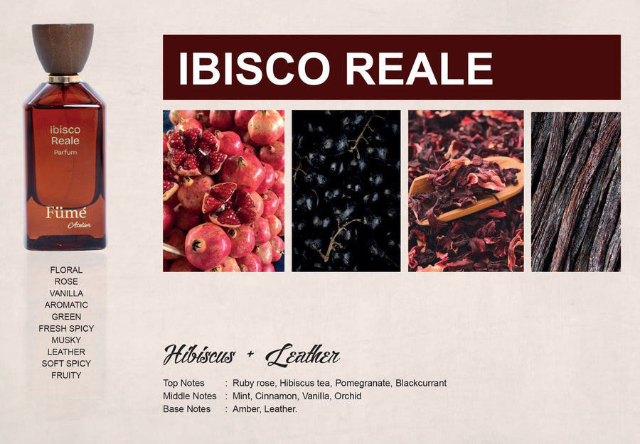IBISCO REALE